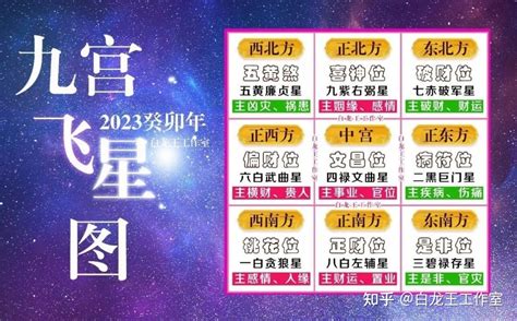 2023年飛星